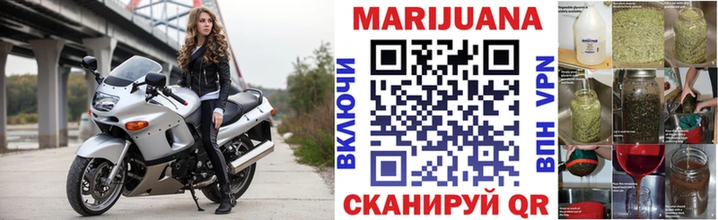 Бошки Шишки план  продажа наркотиков  Будённовск 